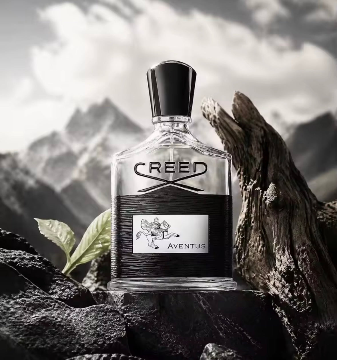 Creed Aventus